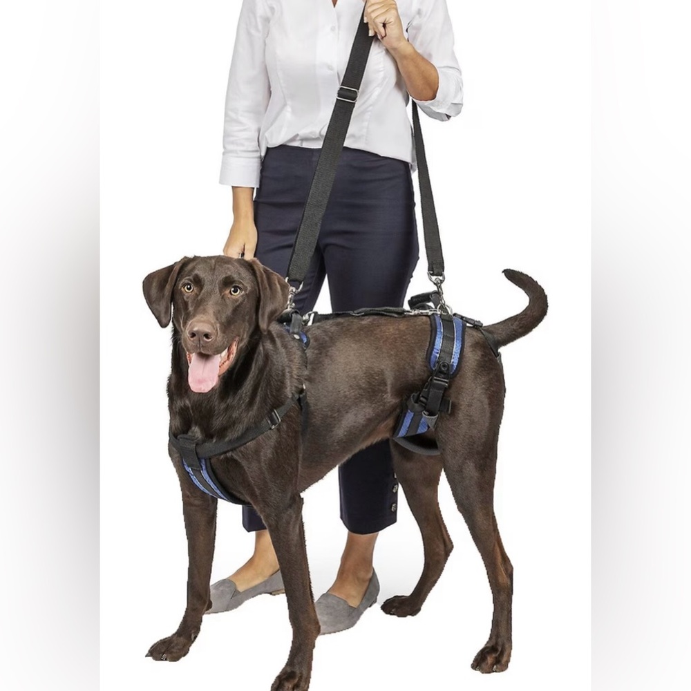 PetSafe CareLift Handicapped Support Dog Harness, Large NWT